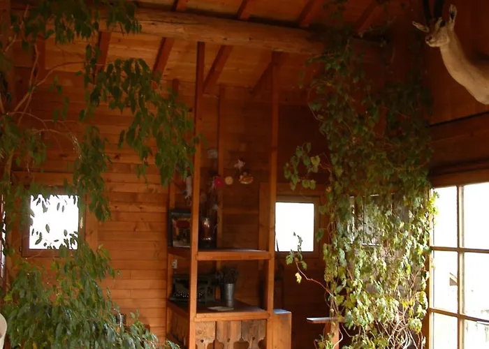 Chalet De La Fressine